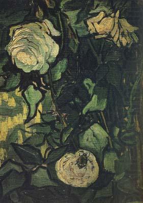 Roses and Beetle (nn04), Vincent Van Gogh